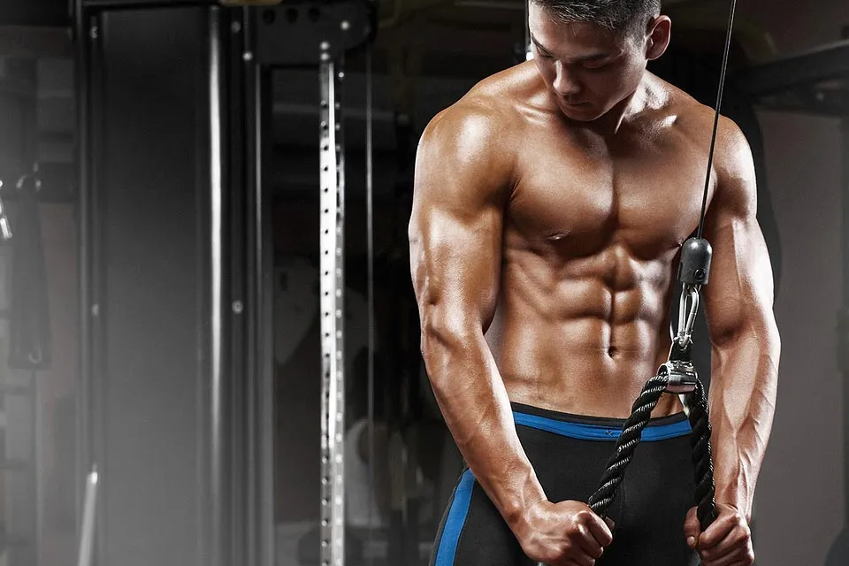 Best sarms for lean mass